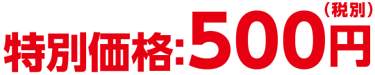 特別価格500円